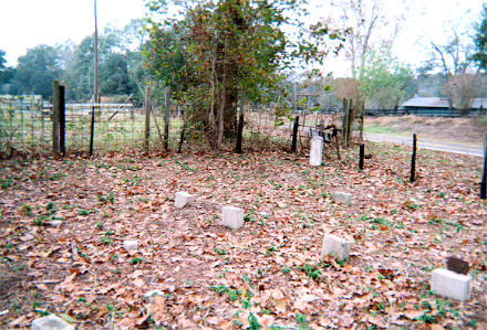 Old Home (Wilcox) Cemetery